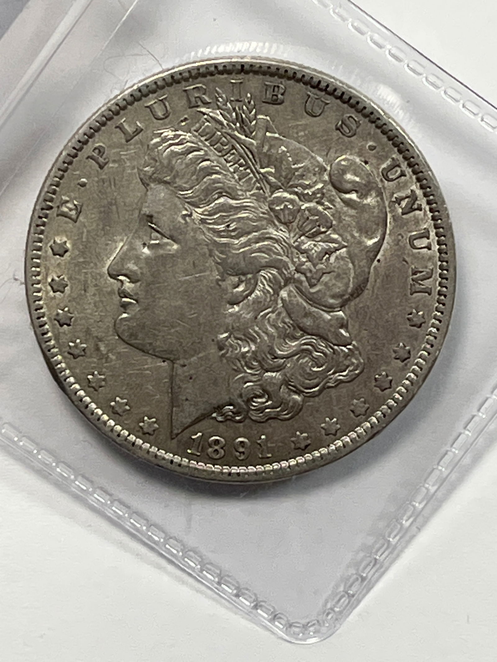 1891 Morgan Dollar Raw: .