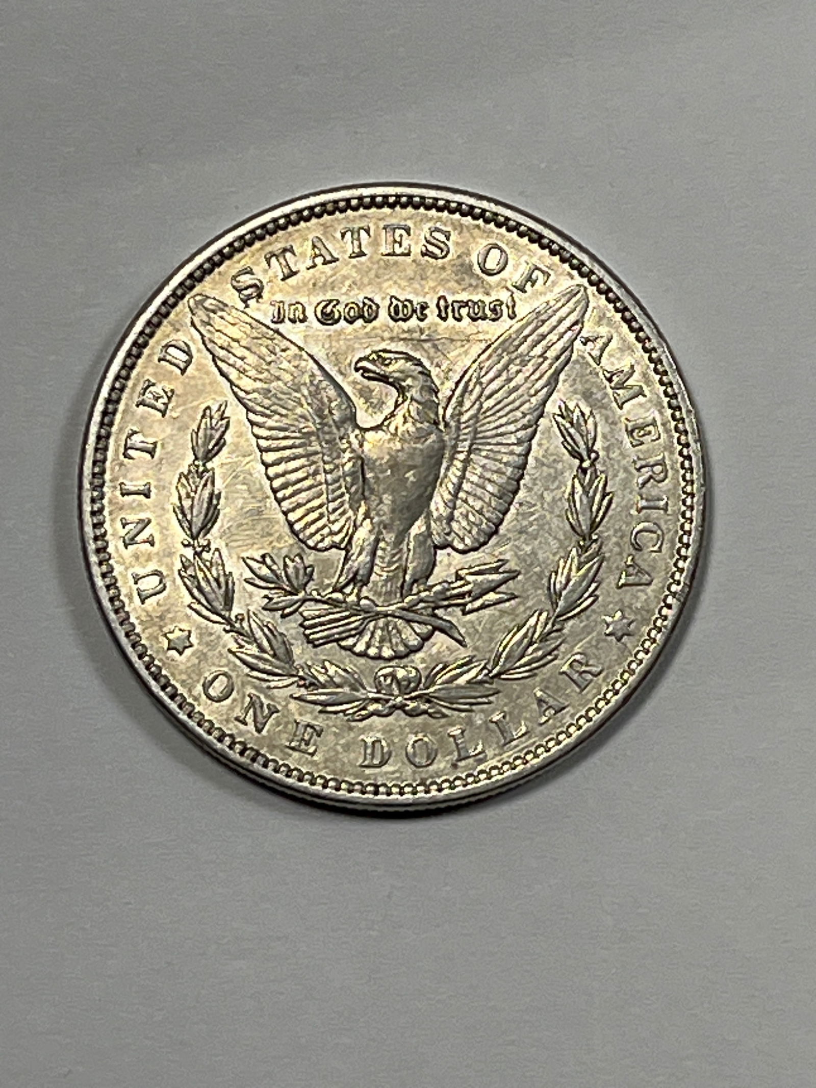 1891 Morgan Dollar Raw - 2
