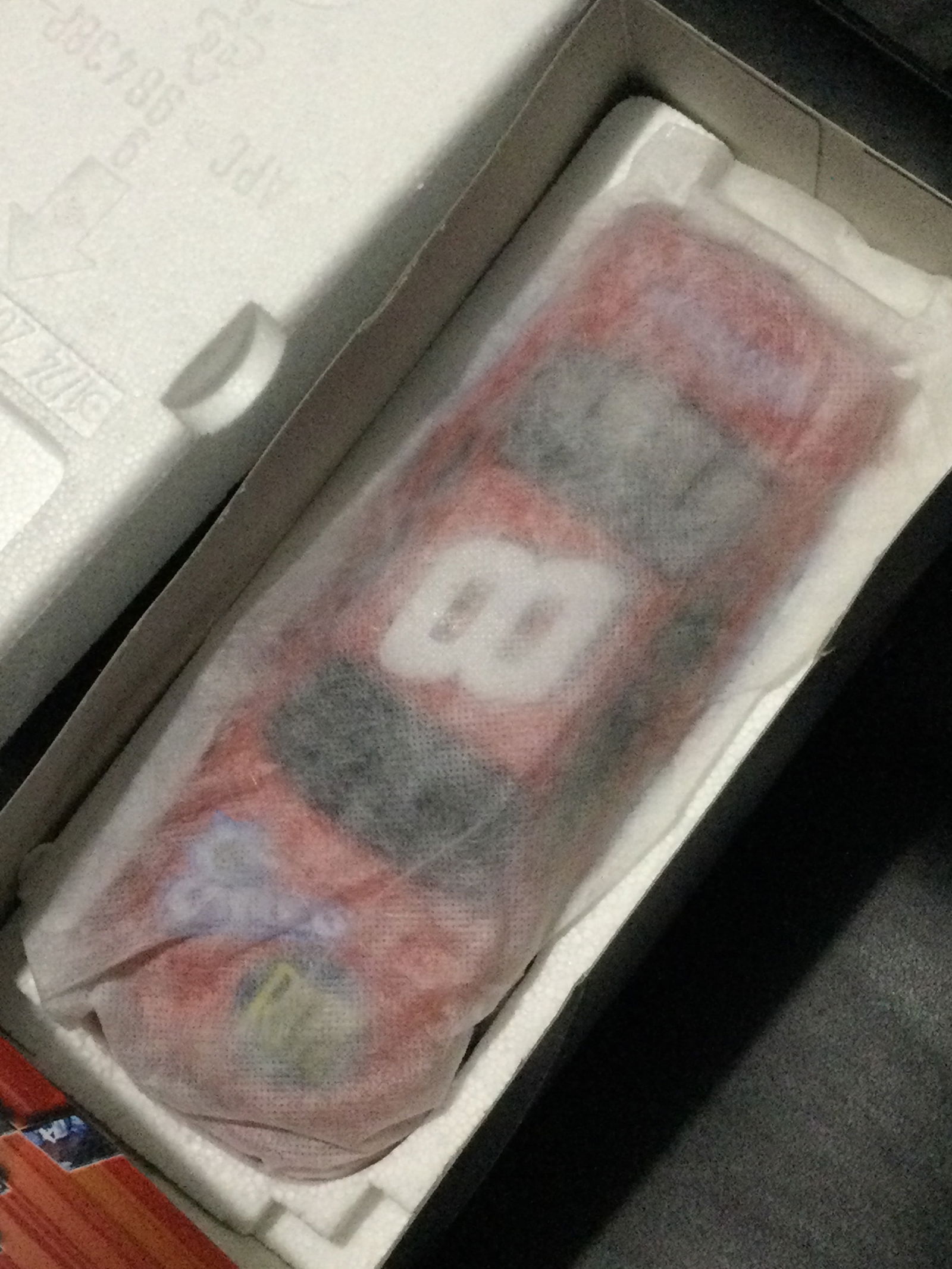 Dale Earnhardt Junior - 5