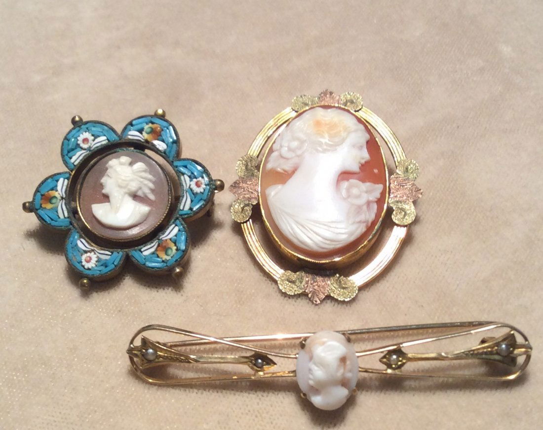 Cameo Collection (1 of 4)