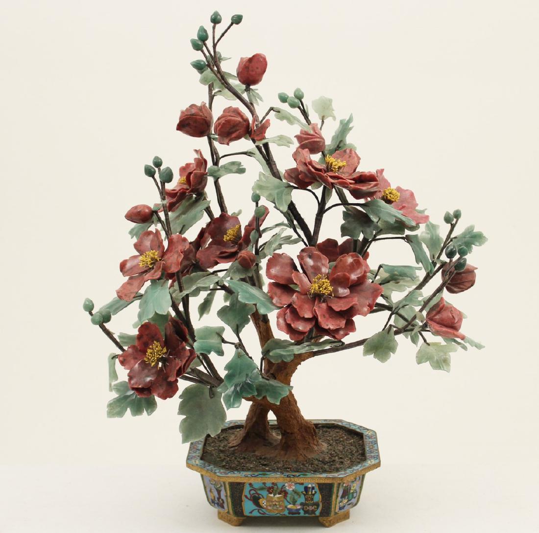 ORIENTAL JADE TREE (1 of 4)