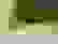 item-77322923=4