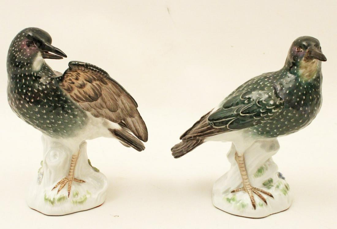 PR OF MEISSEN PORCELAIN BIRD MODELS OF STARLINGS: PAIR OF MEISSEN PORCELAIN BIRD MODELS OF STARLINGS, MARKED IN BLUE CROSSWORDS UNDER GLAZE ON REVERSE; 6"H