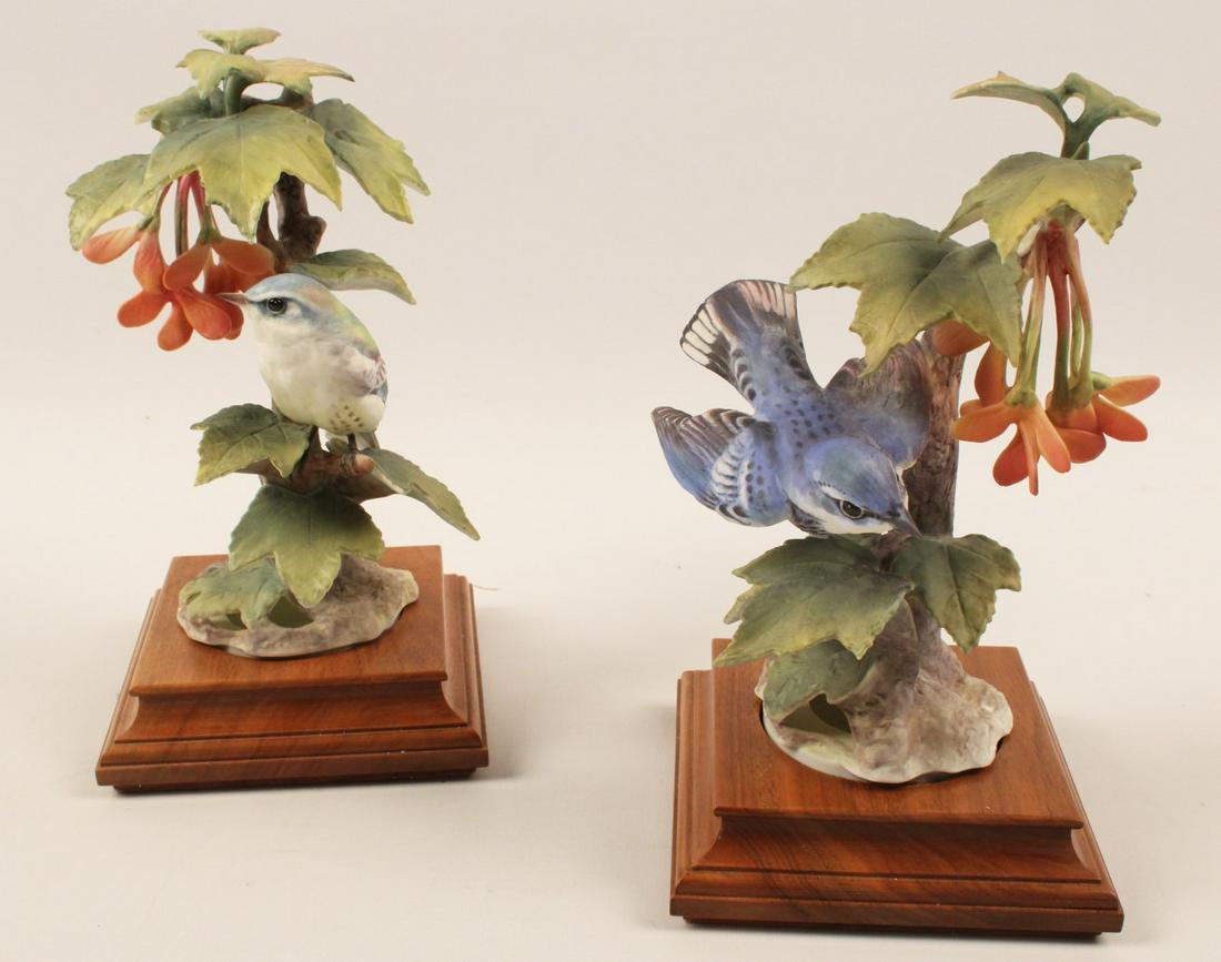 PR OF CERULEAN WARBLER PORCELAIN BIRD MODELS BY DOROTHY: PAIR OF CERULEAN WARBLER PORCELAIN BIRD MODELS BY DOROTHY DOUGHTY FOR ROYAL WORCESTER; 9"H