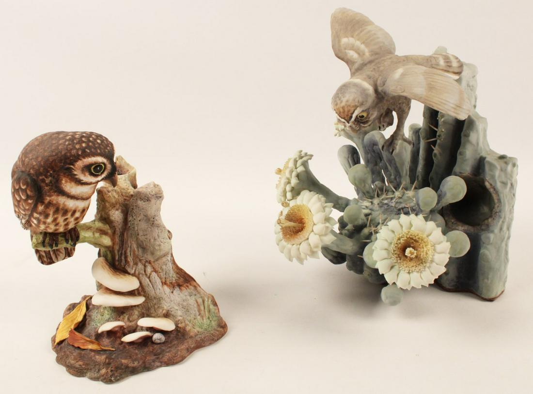 TWO PORCELAIN BIRD MODELS BY BOEHM: TWO PORCELAIN BIRD MODELS BY BOEHM INCLUDING MOONLIGHT ELF OWL WITH GIANT SAGUARO AND A LIMITED EDITION OWL MODEL; CONDITION: SOME SPINES OF SAGUARO ARE MISSING SEE PHOTO; 11"H TALLEST