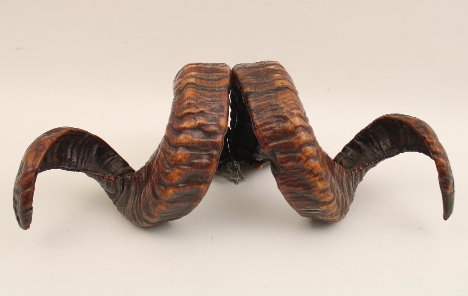 19TH C. SCOTTISH RAMS HORN SNUFF MULL (1 of 3)