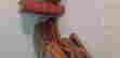 item-120047535=2