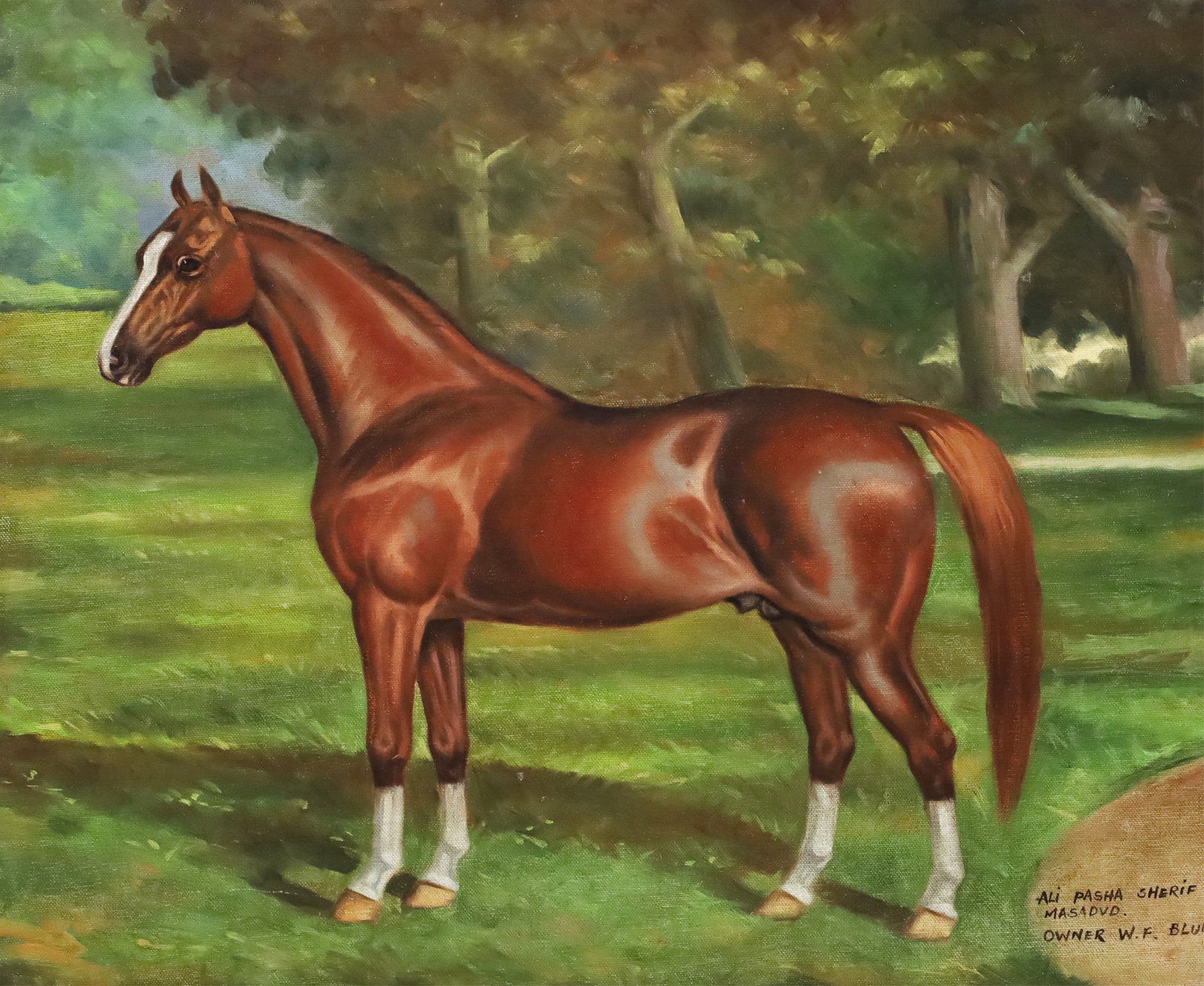OIL ON CANVAS OF THE STALLION MESAOUD: Oil on canvas painting depicting the legendary Arabian stallion Mesaoud, bred by Ali Pasha Sherif in the late 19th century, owned by William F. Blunt, mounted in later frame 20th century; canvas 17"H 