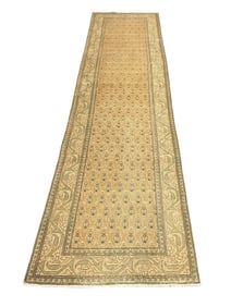 TABRIZ RUG 3'2 X 13'