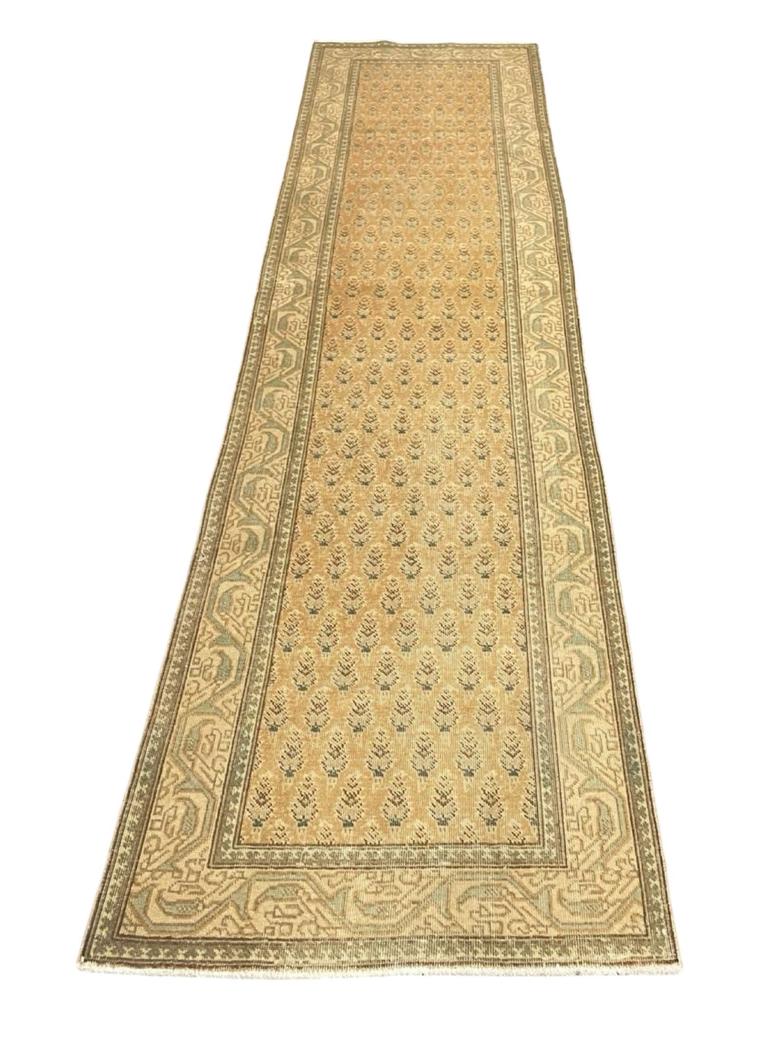 TABRIZ RUG 3'2 X 13' (1 of 2)