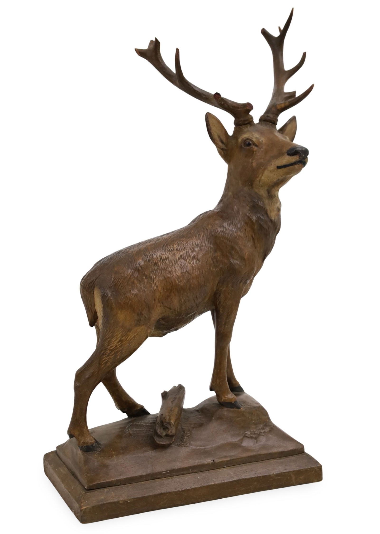GERMAN BLACK FOREST STAG (1 of 5)