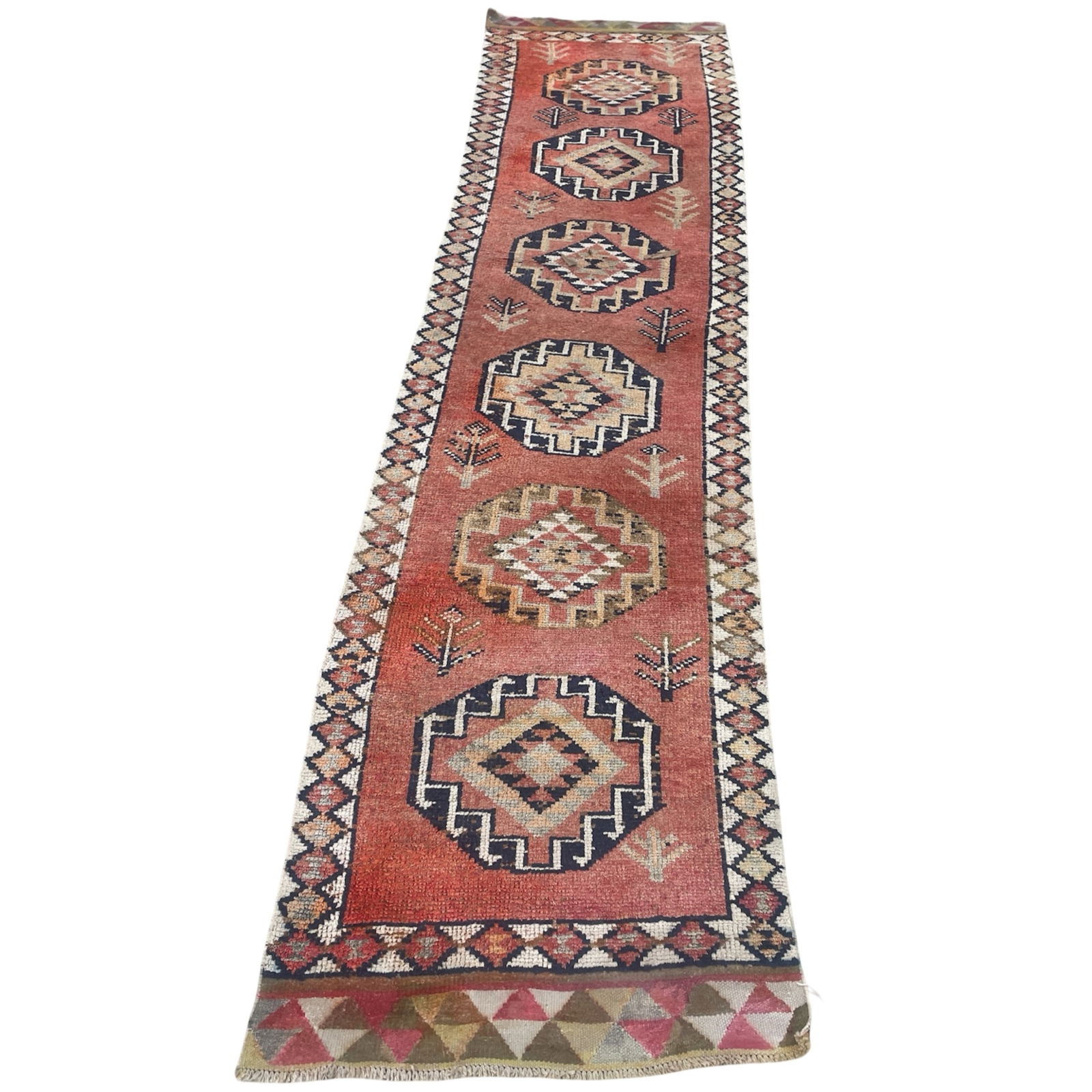 OUSHAK RUG 2'10 X 11'4 (1 of 2)