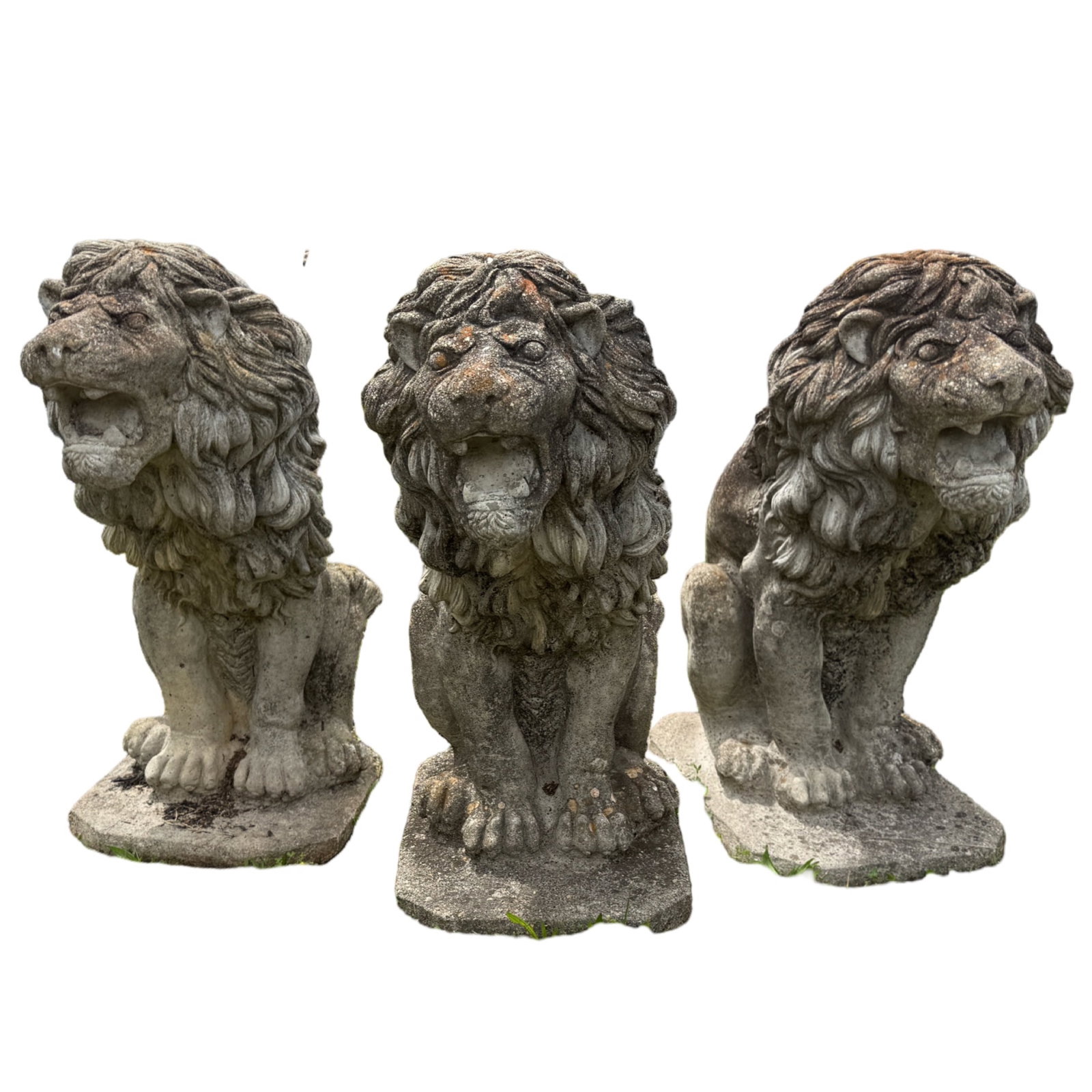 TRIO OF CAST STONE GARDEN LIONS: Trio of roaring cast stone garden lions, each seated on plinth, 20th century; each 30"H base 17.5"W 12"D