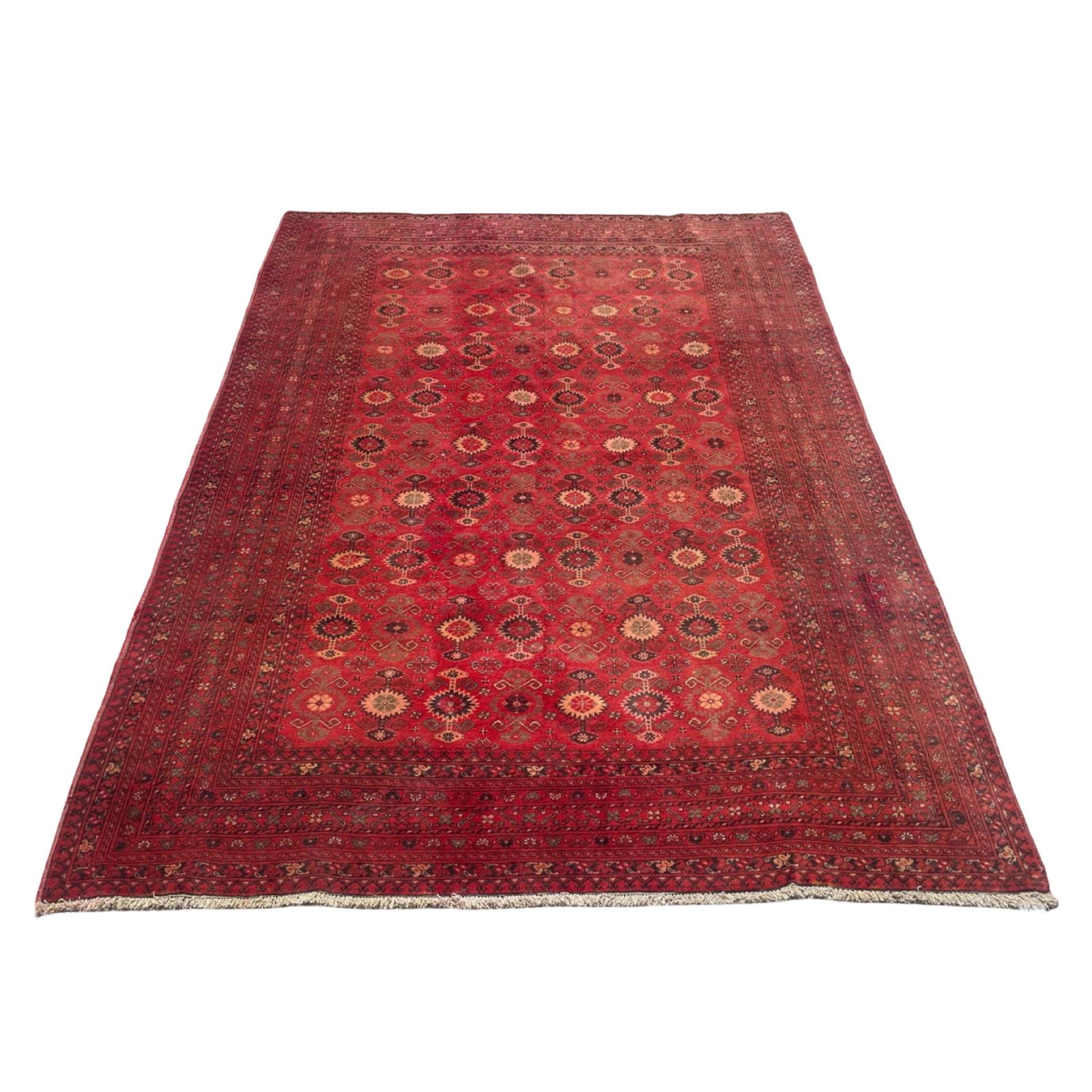 TURKAMAN RUG 6'10 X 9'10: Turkaman rug 6'10 x 9'10