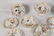 15 PIECE FRENCH LIMOGES PORCELAIN DESSERT SERVICE - 3