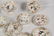 15 PIECE FRENCH LIMOGES PORCELAIN DESSERT SERVICE - 4
