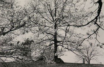 Lee Friedlander, (American b. 1934), Major General: Lee Friedlander (American b. 1934) Major General Henry W. Slocum, Napoleon Gun and Stevens Fifth Battery Marker Black and white photograph, 1974, signed in pencil on reverse; apparently in good condi