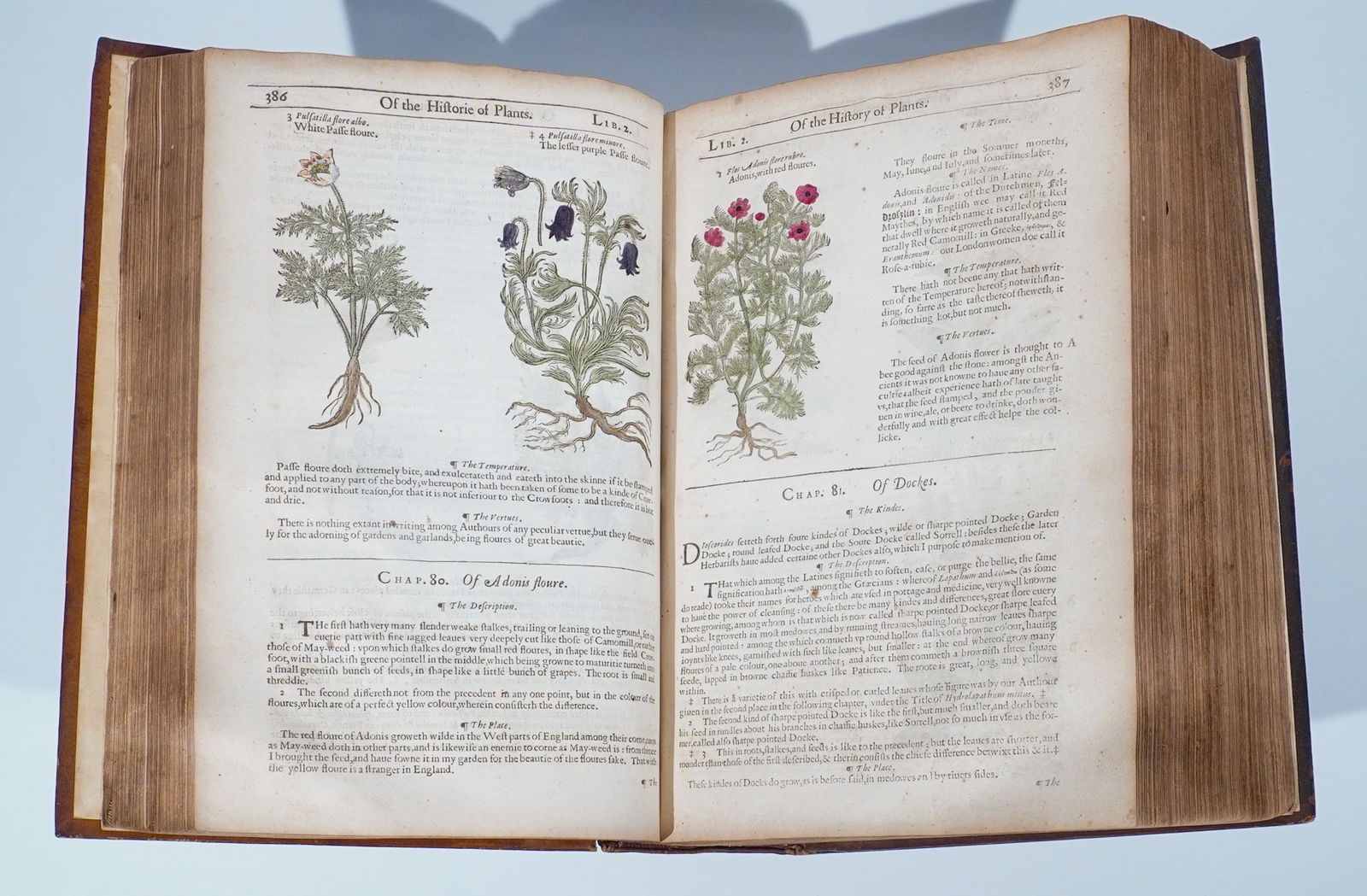 'The Herball or Generall Historie of Plantes Gathered' by John Gerarde of London Master in: 'The Herball or Generall Historie of Plantes Gathered' by John Gerarde of London Master in Chirurgerie Second Expanded Edition Leatherbound Hardcover Folio VolumeThomas Johnson (1590s-1644) after John