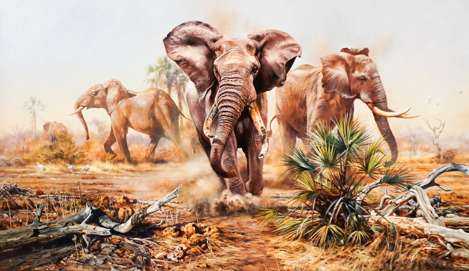 David Langmead (Zimbabwean b. 1965), Stampede, Oil on canvas, 36 x 60 in (91.4 x 152.4 cm): David Langmead (Zimbabwean, b. 1965) Stampede Oil on canvas Signed David Langmead l.l. Property of a Maryland Trust 36 x 60 in (91.4 x 152.4 cm)