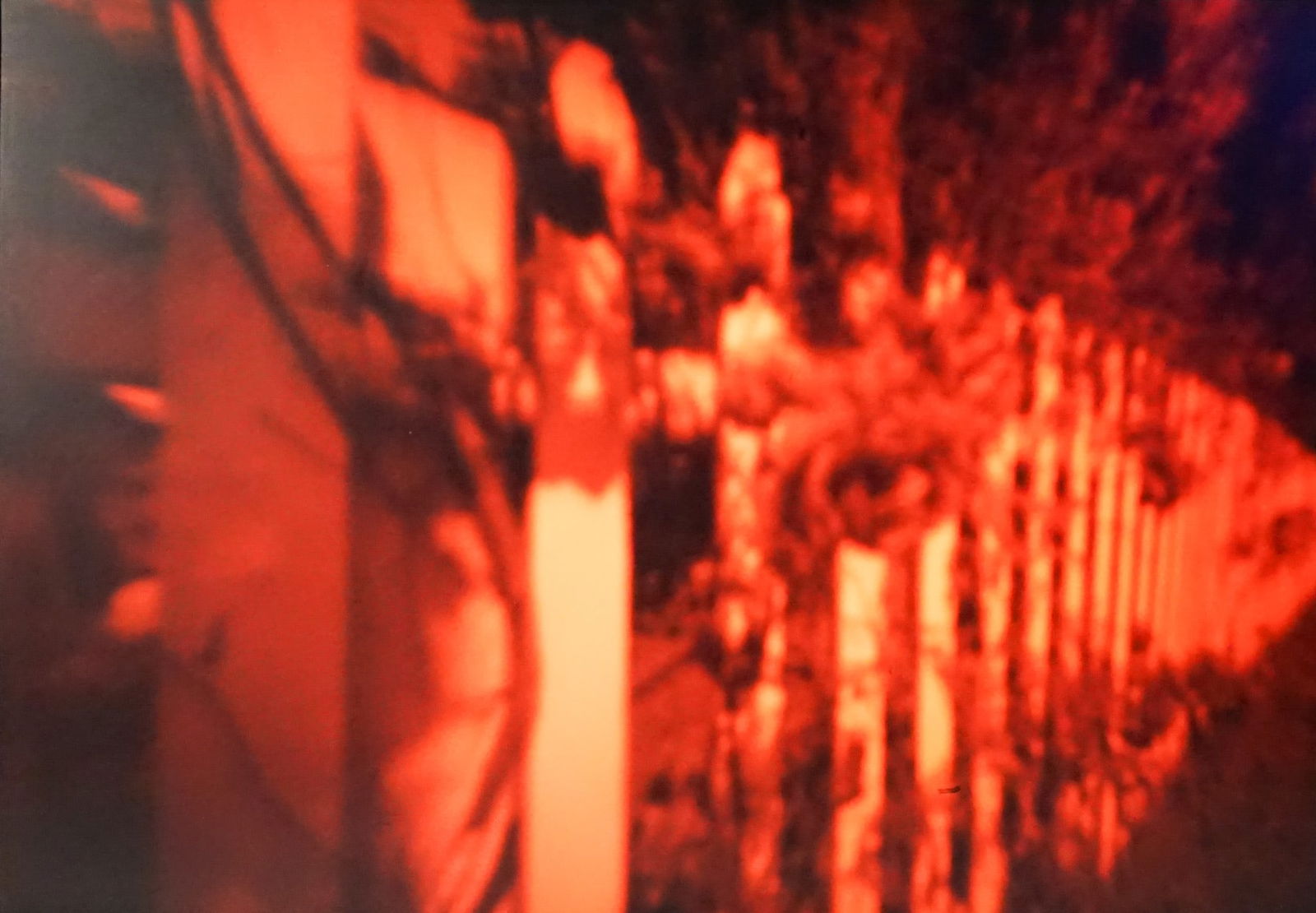 Barbara Ess (American 1948-2021), Untitled (Picket Fence with Roses), Monochrome color photograph,: Barbara Ess(American, 1948-2021)Untitled (Picket Fence with Roses)Monochrome color photograph, 1989Unsigned; AP from an edition of 4Property from the Barbara and Daniel Fendrick Collection