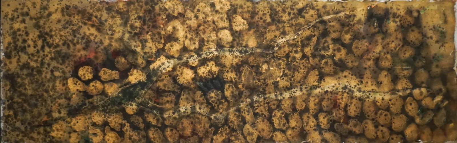 Howard Mehring (American 1931-1978), Mixed Dapple with White Edge, Magna on canvas, 1958, 33 x 103 (1 of 2)