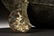 BRONZE TRIPOD RITUAL FOOD VESSEL, DING - 9
