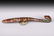 GOLD AND SILVER INLAID DRAGON HOOK