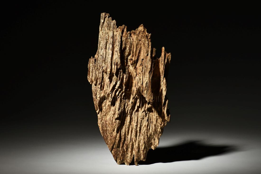 NHA TRANG NATURAL AGARWOOD PIECE: The natural agarwood originated from Nha Trang of Vietnam, it is of irregular form with jagged edges, retains natural wood grain, aroma, and color. Length: 11 1/2 in (29.2 cm) Weight: 224.0g 芽&