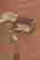 item-72541715=20