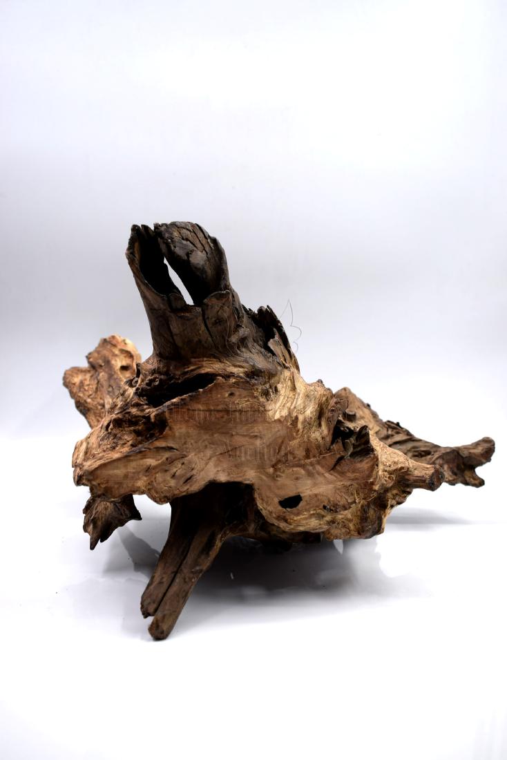 NATURAL AGARWOOD PIECE (1 of 9)