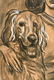 LADY AND DOG - 3