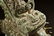 ARCHAIC BRONZE CAST 'MYTHICAL BEAST' RITUAL VESSEL WITH - 10
