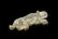 GROUP OF FIFTEEN JADE CARVED 'ANIMALS' ORNAMENTS - 8