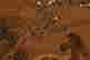 item-86500664=4