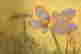 item-86500702=5