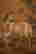 item-86500755=4