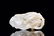 JADE CARVED 'MONKEY' ORNAMENT - 4
