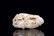 JADE CARVED 'MONKEY' ORNAMENT - 5