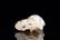 JADE CARVED 'MONKEY' ORNAMENT - 9