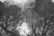 YANG SHANSHEN: INK ON PAPER PAINTING 'LANDSCAPE - 6