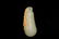 GROUP OF THREE JADE CARVED PENDANTS - 2