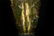GLASS CARVED 'AUSPICIOUS ITEMS' BOTTLE VASE - 6