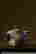 item-88353081=2