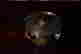 item-88353081=3