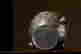 item-88353081=9