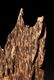 INDONESIA KALIMANTAN AGARWOOD WITH WOODEN STAND - 6