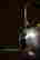 item-88353406=4