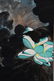 A GROUP OF FOUR CHINESE PAINTINGS OF LOTUS,ZHANG DAQIAN - 8