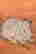 item-88616721=8