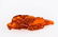 A CHINESE AMBER BRUSH HOLDER - 6